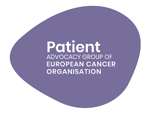 Best practices for caregivers and support partners of breast cancer patients