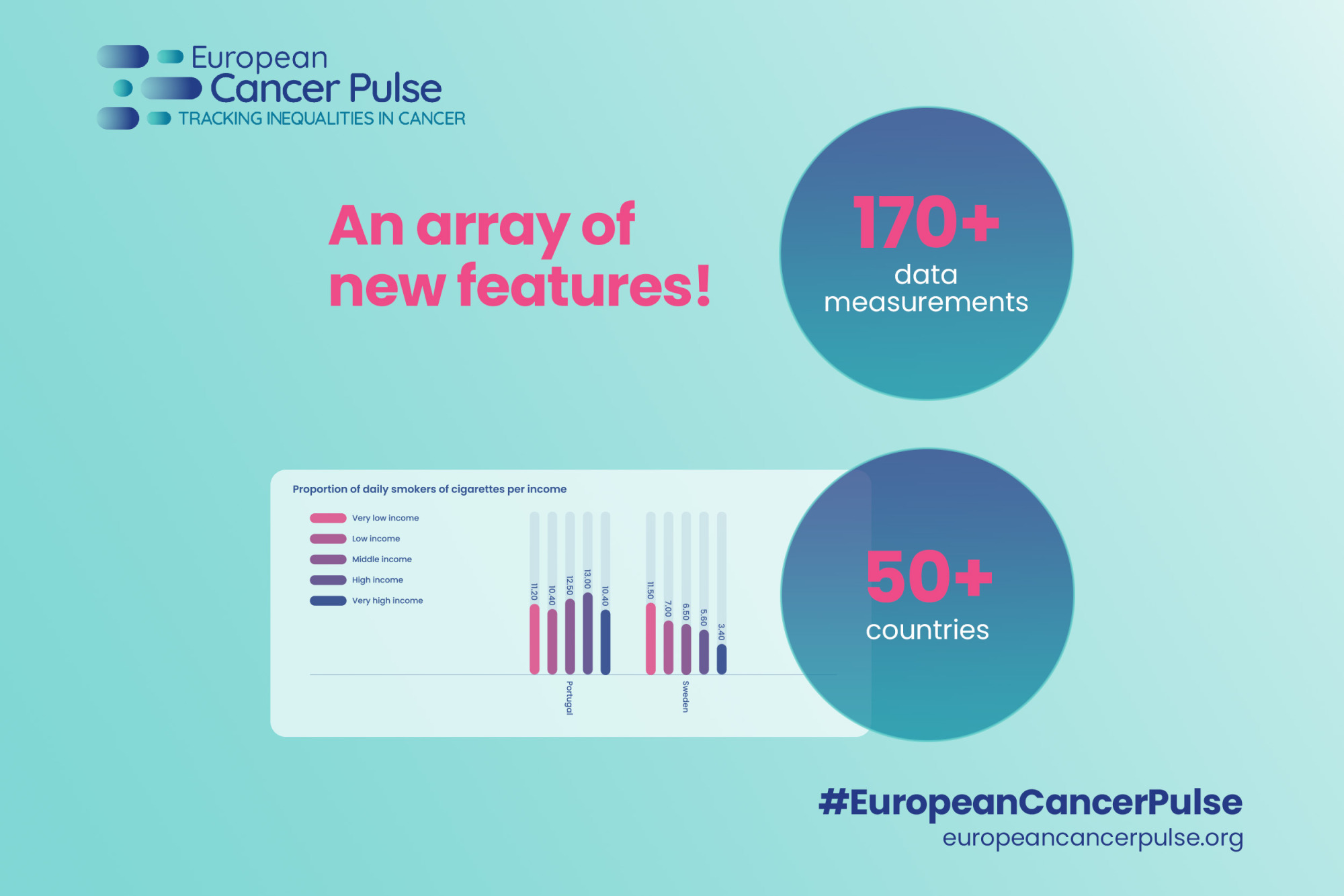 eco pulse visuals social media 1