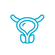 Informal Carers