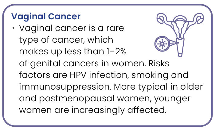 Vaginal Cancer2