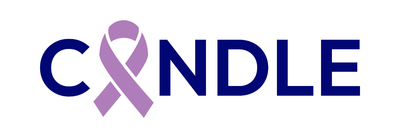 Building National Cancer Data Nodes: the New EU Project CANDLE Starts its Work